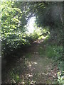 Sunlit footpath between Northcroft Lane and The Sun