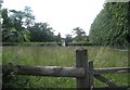 Meadow between Prospect Lane and Wick Lane