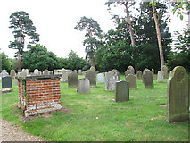TM3699 : All Saints Church - churchyard by Evelyn Simak