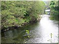 River Dart, Buckfast