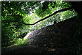 Embankment Wall for the Cromford Canal