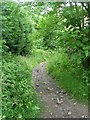 Bridleway - Priesthorpe Road