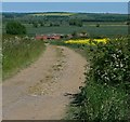 Farm track off Sandy Lane