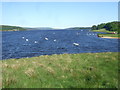 NY6588 : View from Lakeside Way over Kielder Water by Simon Johnston