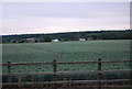 View south from the track to Fairlawne Home Farm