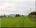 NU1415 : Tramlines and power poles near East Bolton by Andy F