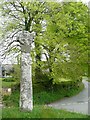 Cross in the churchyard, Cardinham