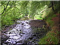 The Ellwyn Glen