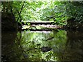 The remains of a bridge over the Allan or Ellwyn Water, Ellwyn Glen