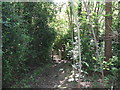 Footbridge close to Buncton Lane