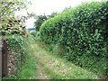 Footpath below the Luppitt Inn