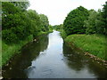 River Calder from footbridge at Padiham