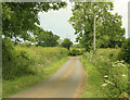 2009 : Cromhall Lane, near Yatton Keynell