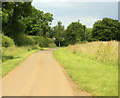 2009 : Cromhall Lane approaching Manor Farm