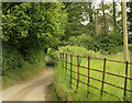 2009 : Cromhall Lane near Lower Easton Piercy Farm