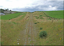 N1431 : Peat bog railway Co.Offaly by Dennis Turner