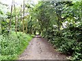 Footpath at Micklehurst