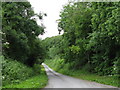 Lane From Old Dinmore Hill