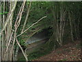 Large culvert under the A272 NE of Ansty