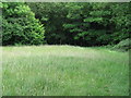 High Weald Landscape Trail entering Walks Wood