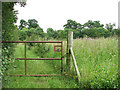 Gate on footpath