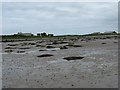 Penial Dowyn Farm from the beach