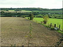 SY8094 : Fields to the east of Tolpuddle by Rose and Trev Clough