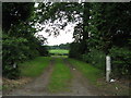 Track in to the woods near Bowhouse Farm