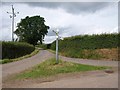 Lane junction at Steart Barton