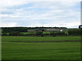 Arable land near Newton Farm