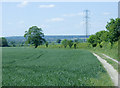 2009 : Wheatfield and farm track on Roundway Hill