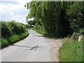 Windy Lane To Withington Marsh