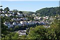 Kingswear from above Hoodown Lane