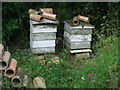 Beehives