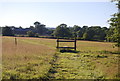 Stile on the footpath to Nizels