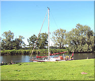TG2906 : Safely moored at Bramerton Common by Evelyn Simak
