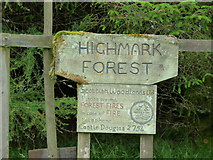 NX1271 : Highmark Forest Sign by Billy McCrorie