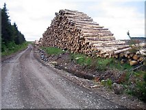 NH4168 : Felled timber waiting uplift - Garbat Forest by Ian Mitchell