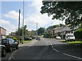 Rock Lane - Rodley Lane