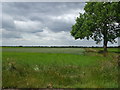 Fields off Staddlethorpe Broad Lane