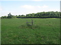 Stile in field near Sheldwich Lees