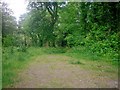 Footpath, Top Carpark, Colby Lodge - National Trust Gardens