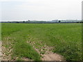 Field Near The Old School House