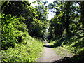 Hadleigh Railway Walk