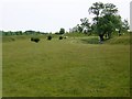 Figsbury Ring