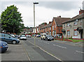 Primrose Road, Netherton