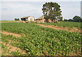 Farm buildings, near Poltimore