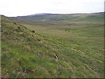 NG2141 : Moorland north of Gearraidh nan Gamhainn by Richard Dorrell