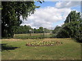 Flowerbed in Walpole Road