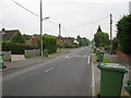 Green wheelie bin collection day, College Road